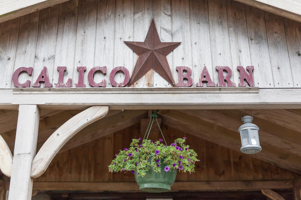 Calico Barn Vandrarhem Widdrington Exteriör bild